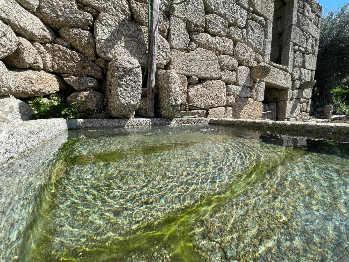 Casa Botica - Geres Holiday home *